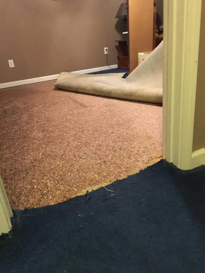 Carpet pad removal revealing water damage during Drying & Dehumidification in Bethel