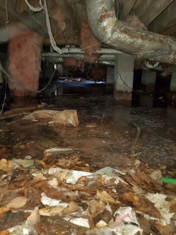 Crawl space flood assessment for Commercial Water Damage Restoration in Bethel