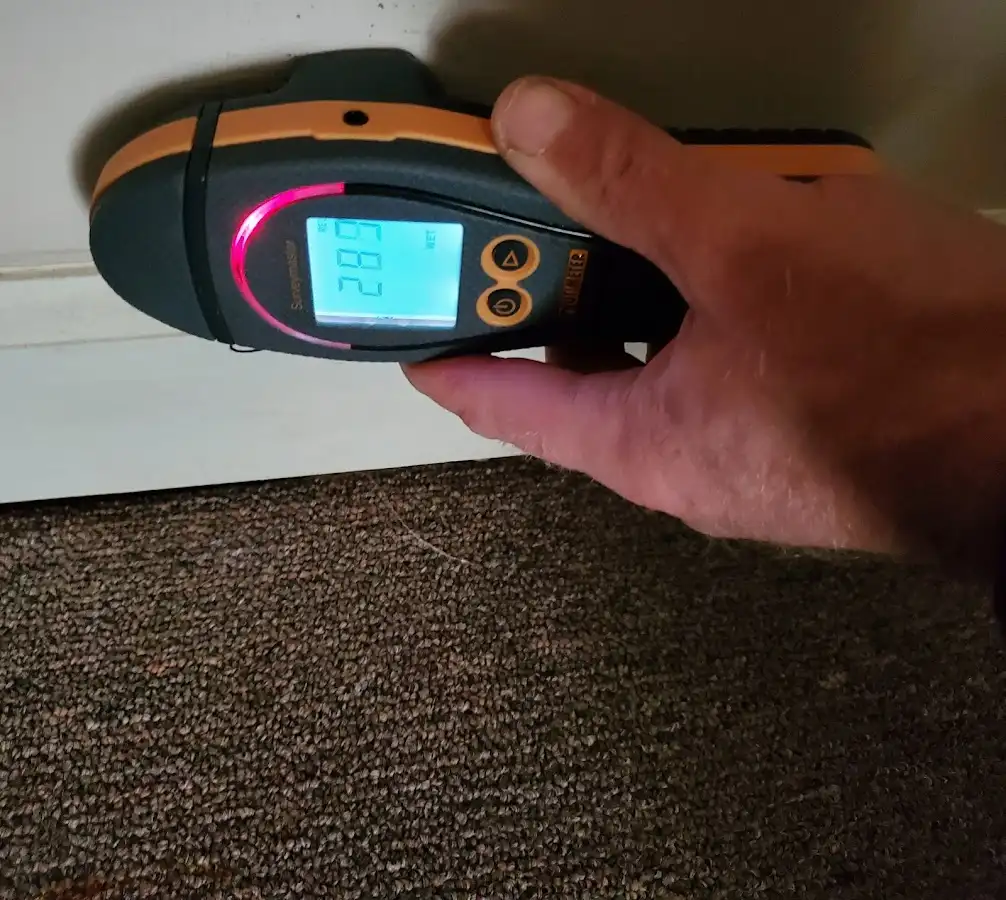 Moisture detection at baseboard during Sewage Cleanup & Sanitation in Bethel
